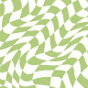 Meet your Posher, Ally